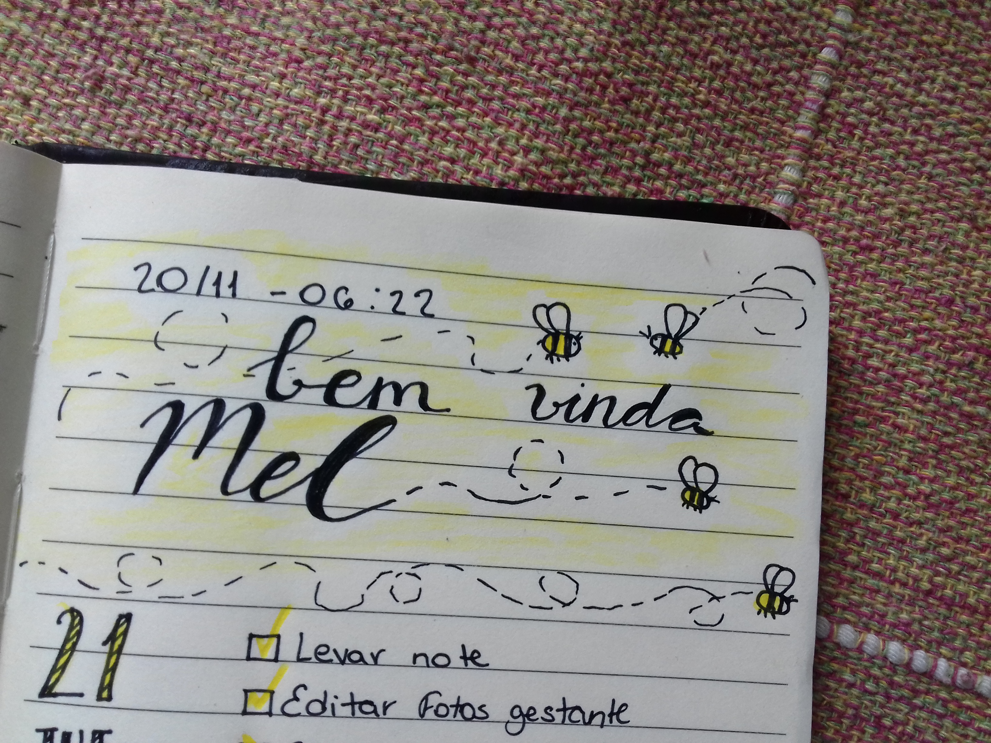 Novembro: bem vinda Mel!